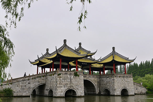 公司旅游